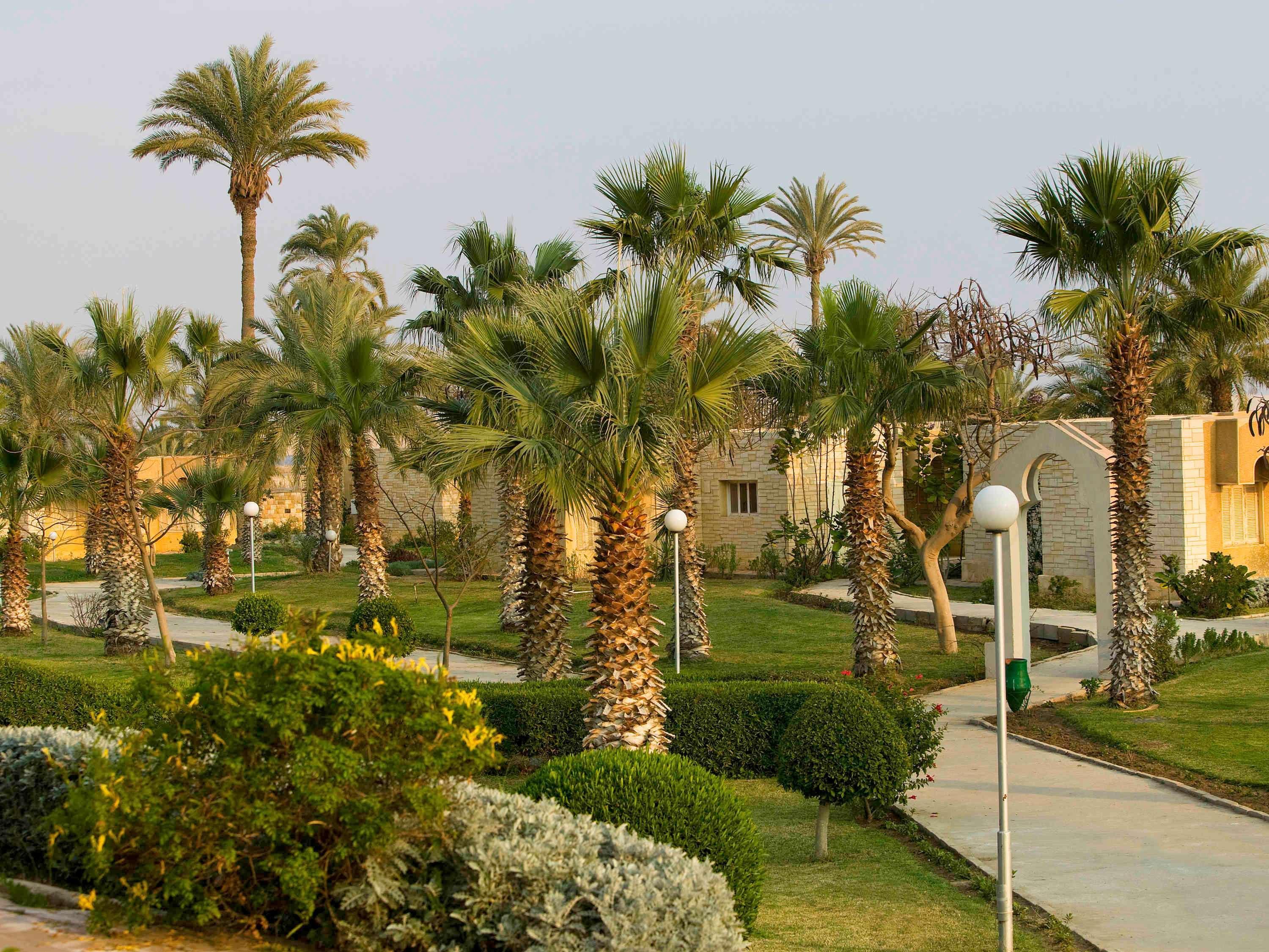 Mercure Ismailia Forsan Island Eksteriør billede